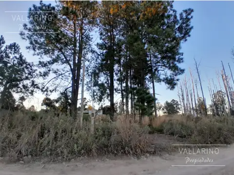 Terreno en Venta en Colon, USD 25.000