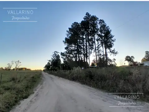Barrio El Bosque, Colón