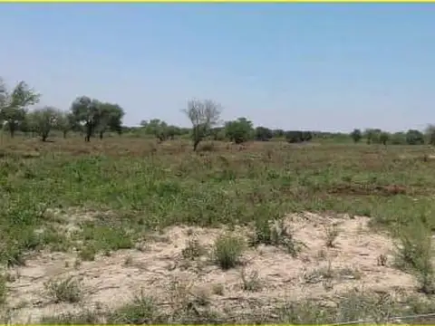 Campo - Villa Maria