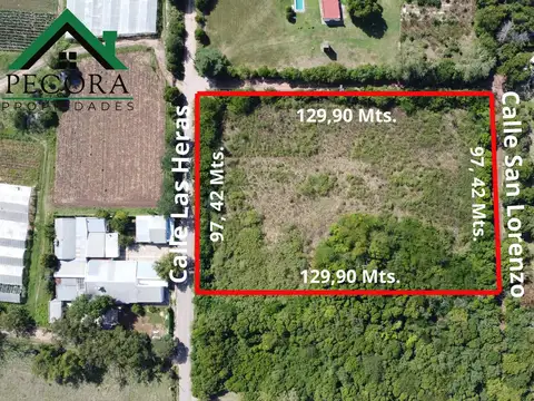 Campo 1,26 HA - Terreno - Escobar - Las Heras y San Lorenzo