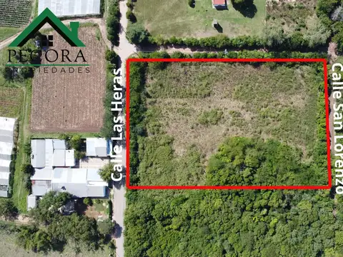 Campo 1,26 HA - Terreno - Escobar - Las Heras y San Lorenzo