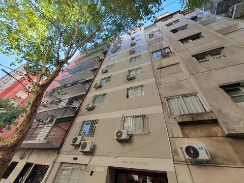 Larrea 1300