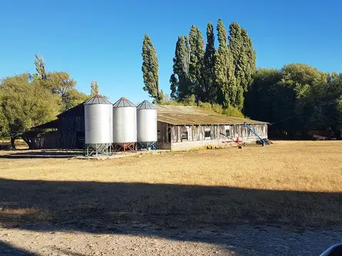 Campo - Rio Pico