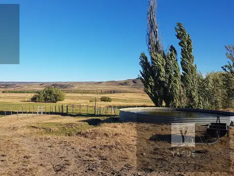 Estancia en Cordillera, producción, caza y pesca...! Excelente oportunidad...!
