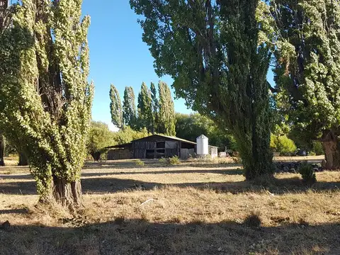 Campo - Rio Pico