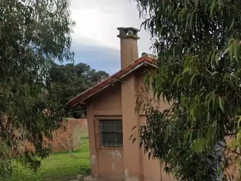 Primavera y San Francisco de Asis