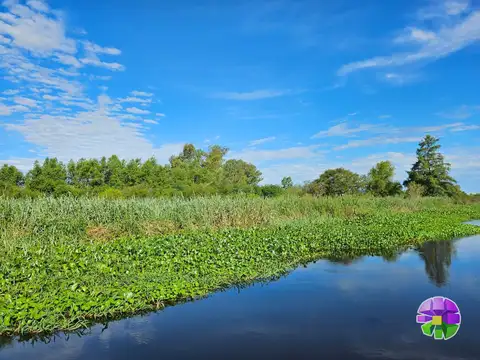 Oportunidad! chacra en venta de 2 has en Villa Paranacito con salida navegable al Uruguay