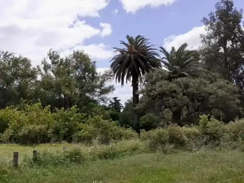 Terreno en Venta de 5412,74 m2