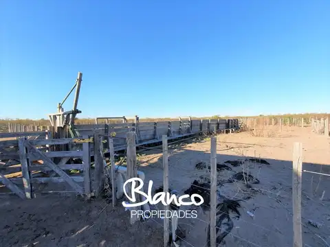 La Reforma - La Pampa -