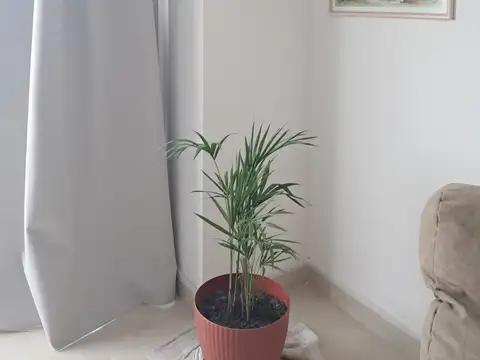 Departamento en Alquiler Temporal en Puerto Madryn, $ 70.000