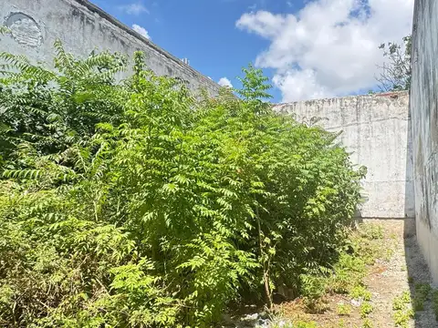 Terreno en Alquiler 59  mts Fondo