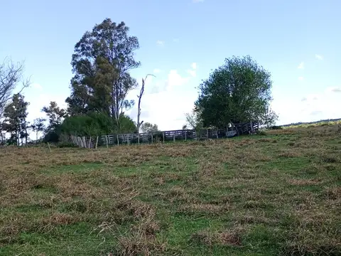 Campo de 40 hectareas en venta en Achiras