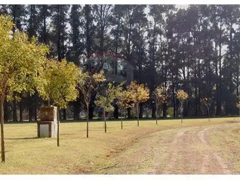 Tu Lote Ideal en Club de Campo La Asunción – Naturaleza, Confort y Oportunidad Única