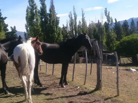 Ruta Nacional 40