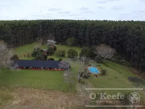 Campo en venta de 1017 has, Forestal mixto 80 % aprovechable,  Virasoro Corrientes