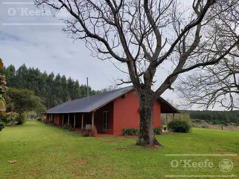 Campo en venta de 1017 has, Forestal mixto 80 % aprovechable,  Corrientes