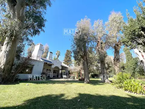 FONDO A PULMON VERDE