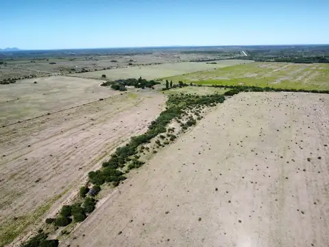Campo en Venta Agrícola