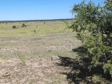 Campo en Venta Agrícola
