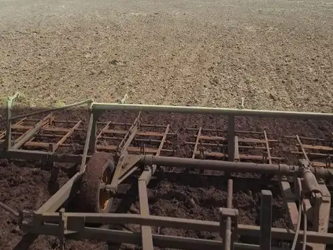 Campo en Venta Agrícola