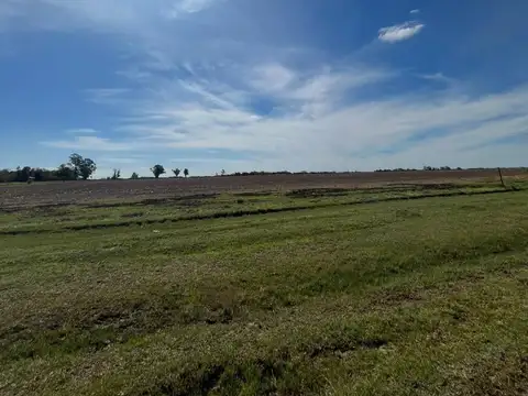 Campo Mixto 40 hect. Oratorio MORANTES Villa Constitucion