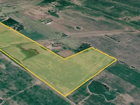Campo en Venta Agrícola