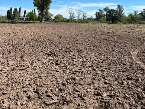 Campo Mixto 40 hect. Oratorio MORANTES Villa Constitucion