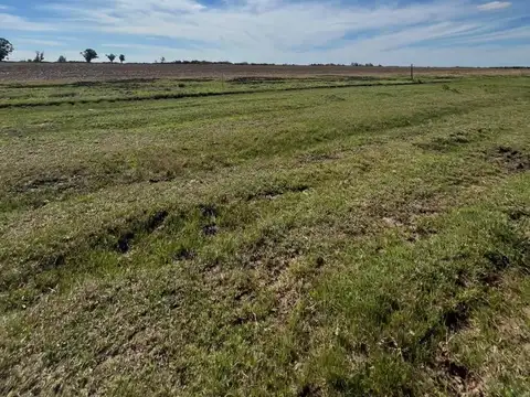 Campo en Venta de 40  ha