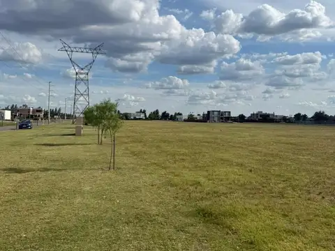 Avenida al 1600