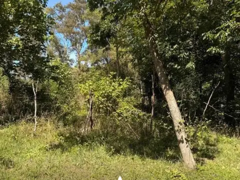 Terreno en Venta de 330,0 m2