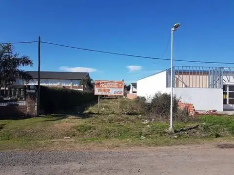 Chapuy 2000