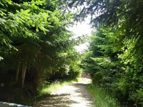 Terreno en Venta en El Bolson, USD 20.000