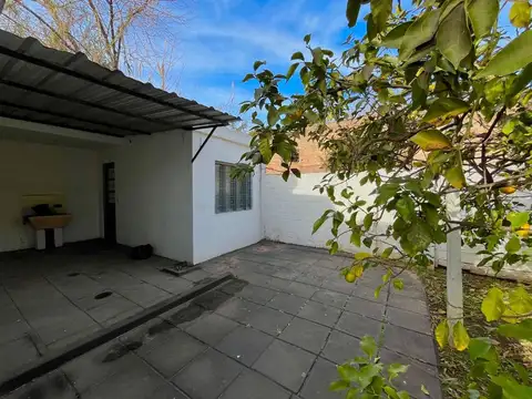 Intendente Manny 1200