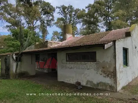 Campo Mixto 207 ha c/Sistema Voisin – Gral Las Heras, BS AS