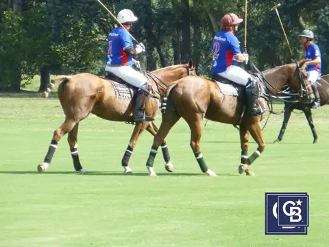 Venta de Lote interno en Technopolo, General Rodriguez, Pilar
