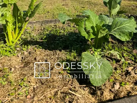 Quinta en Venta en Villa Adriana, USD 90.000