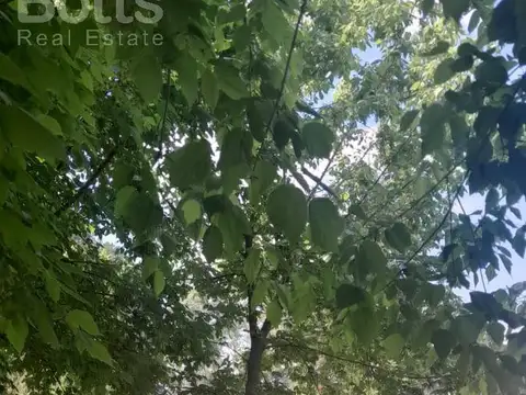 VENTA , QUINTA CON VIVIENDA ,PILETA Y QUINCHO ,LOTE 1520 mtrs , PONTEVEDRA