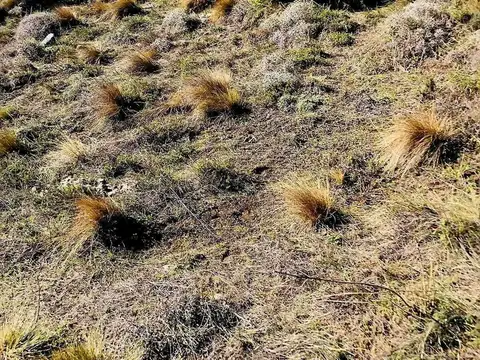Terreno en Venta de 1500,0 m2
