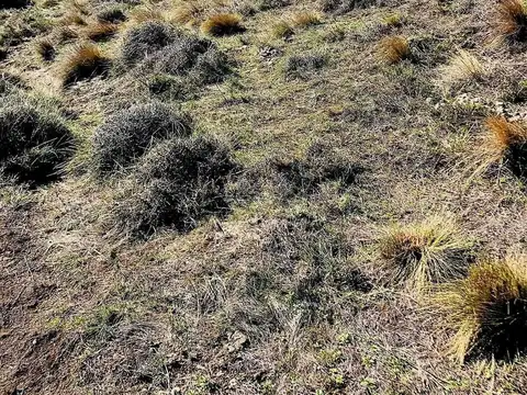 Confluencia y Cerro  Chachil 100