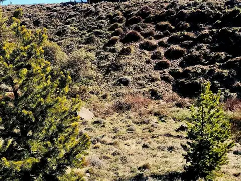 Terreno en Venta en San Martín de los Andes, USD 45.000