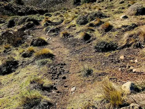 Confluencia y Cerro  Chachil 100