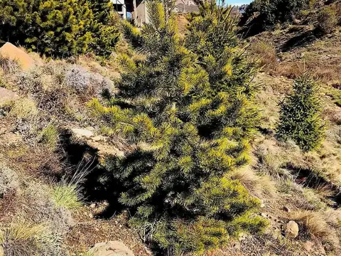 Terreno / Lote en venta de 1510m2 ubicado en San Martin de los Andes