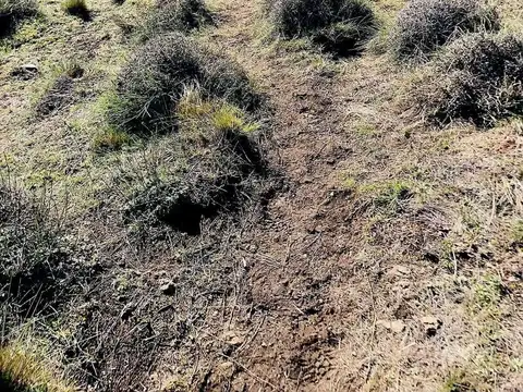 Terreno en Venta de 1500,0 m2