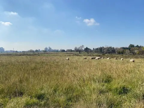 Terreno en Venta en Nueva Zelaya 3 - Pilar