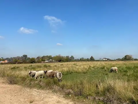 Terreno en Venta de 375,0 m2