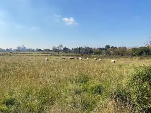 Terreno en Venta en Zelaya, USD 20.000