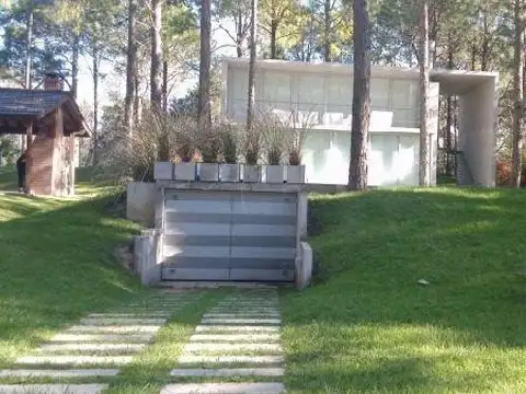 Pino 1400