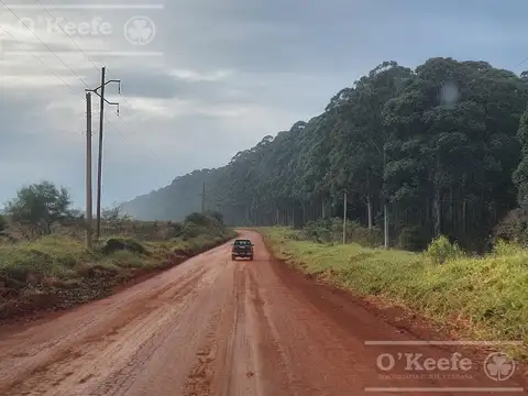 Campo en venta de 561 has  Forestales,   Corrientes