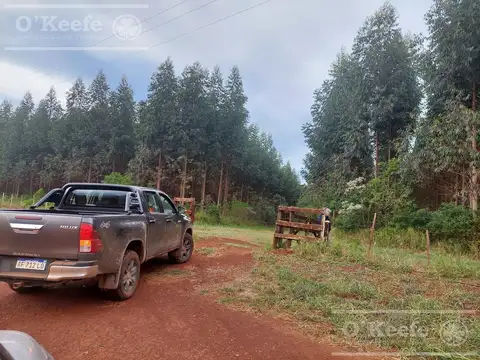 Campo en venta de 561 has en Virasoro, Corrientes