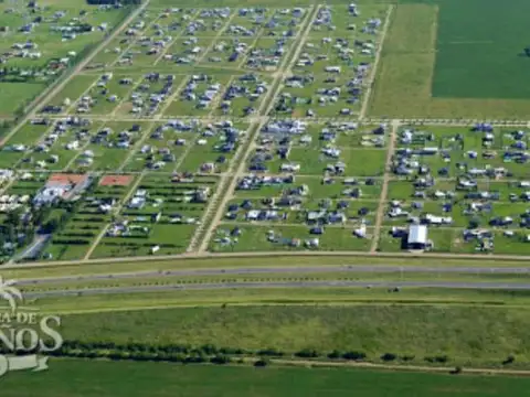 EL NOGAL TIERRA DE SUEÑOS ALVEAR